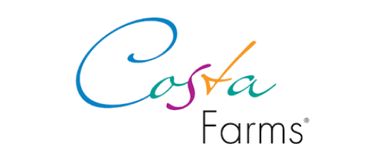 custom retail display manufacturers